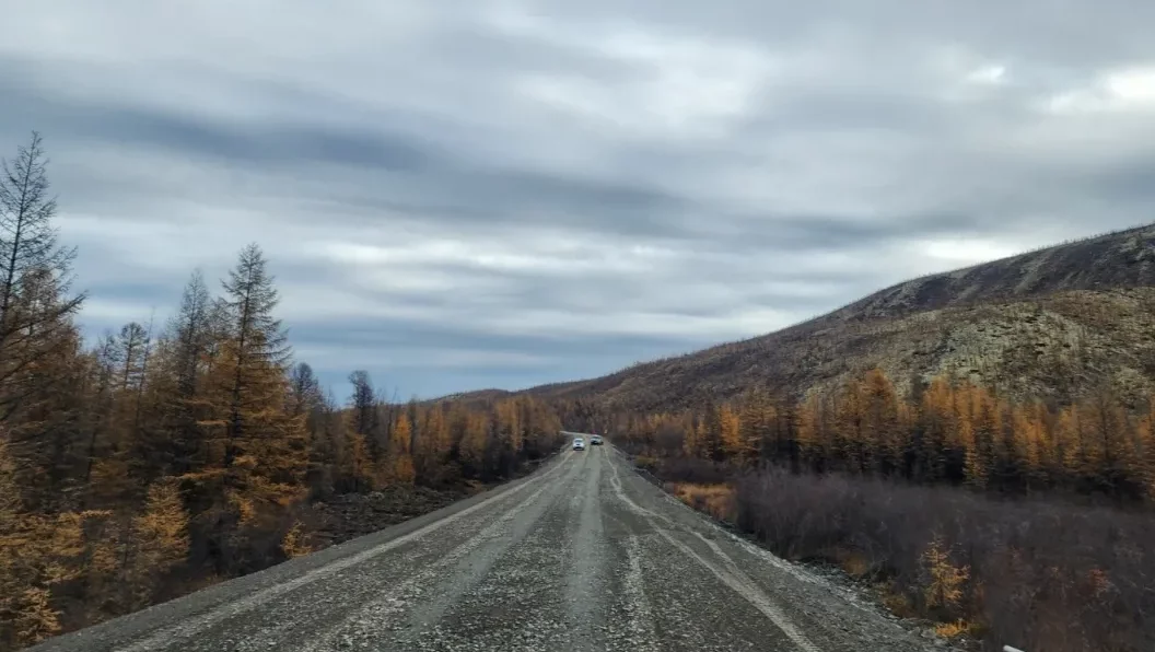 Хаартыска: ЯСИА
